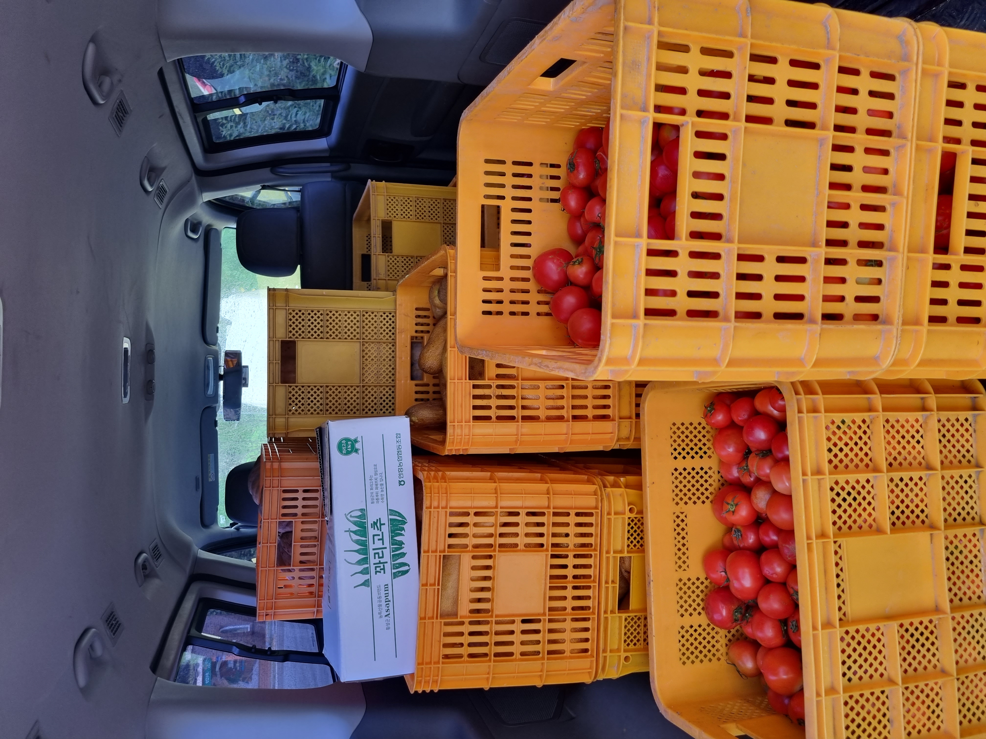 에덴건강원에서 토마토 10박스, 노각 10박스, 토종 호박 10박스를 후원해주셨습니다!